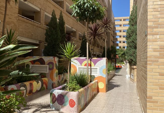 Apartamento en Oropesa del Mar - A (VA076) TH Oropesa